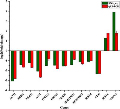 Integrated analysis of transcriptome and metabolome data reveals insights for molecular mechanisms in overwintering Tibetan frogs, Nanorana parkeri